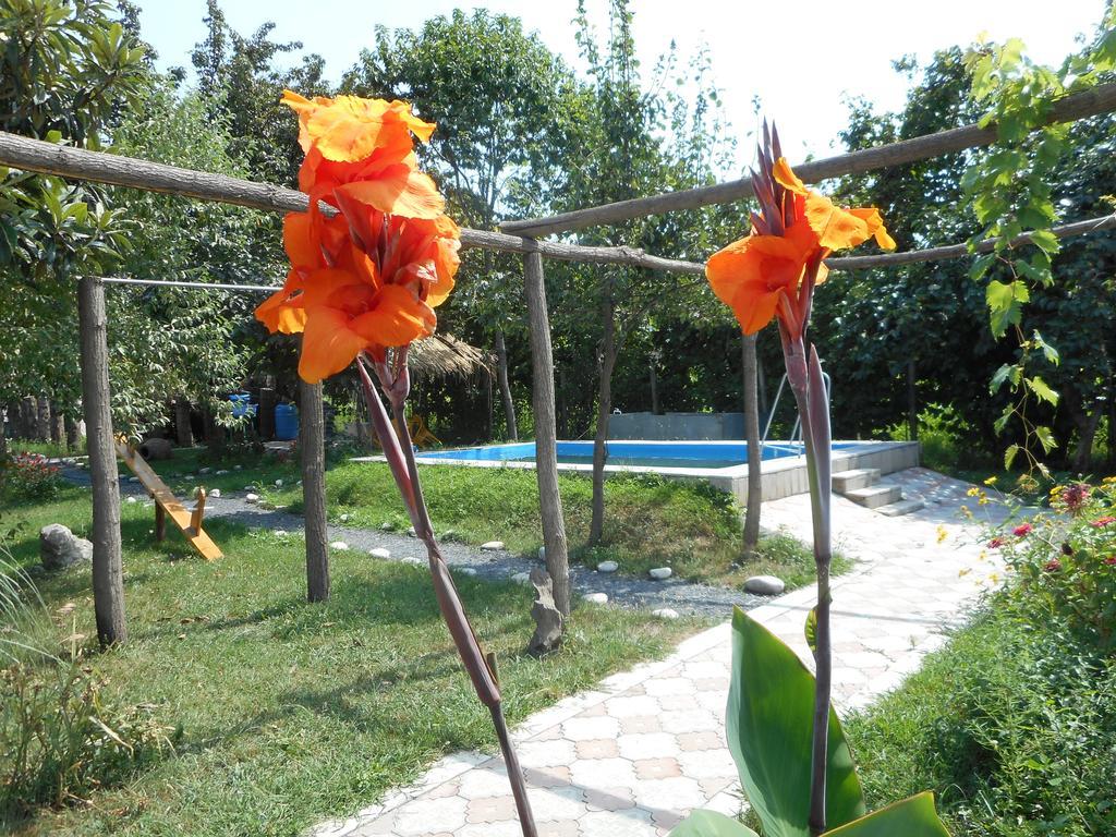 Nona Guest House Shilda Zewnętrze zdjęcie